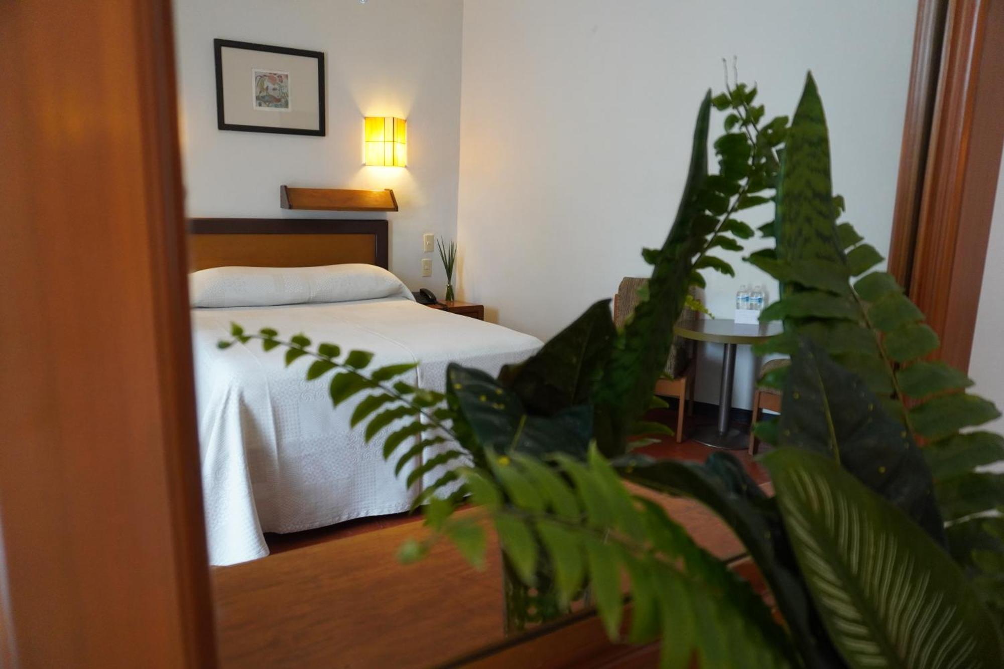 Hotel Ilebal Cuernavaca Centro - Lugar Con Encanto! Exteriér fotografie