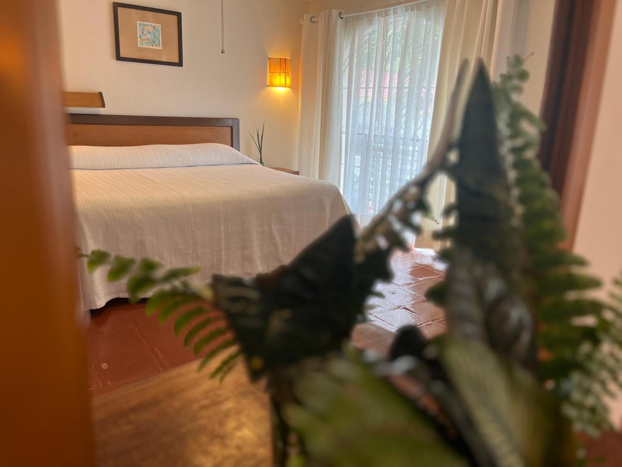 Hotel Ilebal Cuernavaca Centro - Lugar Con Encanto! Exteriér fotografie
